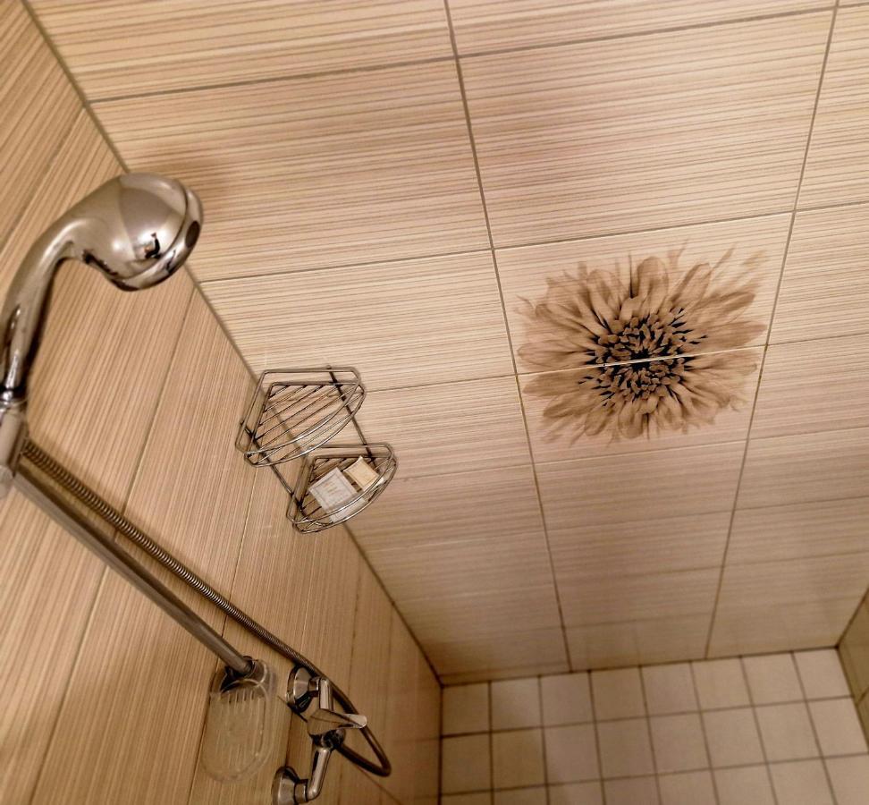 Linos Apartamentai ドルスキニンカイ エクステリア 写真